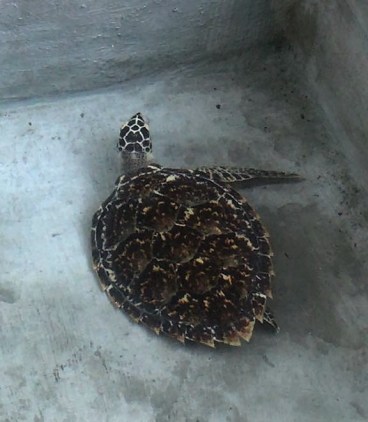 PHOTO-2018-08-21-08-35-33 (1).jpg